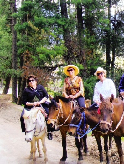 kashmir travel